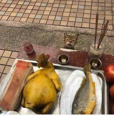 Cúng xóm mà nó đòi thắp hưong